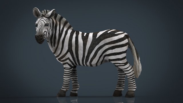 zebra Modelo 3D .c4d .max .obj .3ds .fbx .stl .blend 