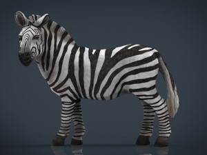 zebra Modèle 3D