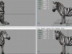zebra Modelo 3D