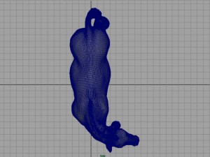 zebra Modelo 3D