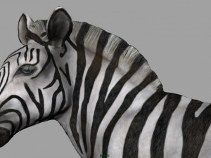 zebra Modelo 3D