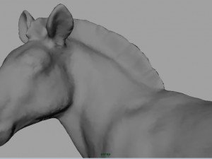 zebra Modelo 3D