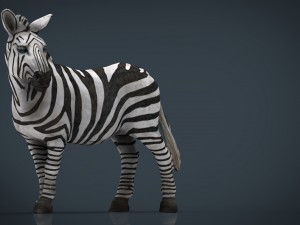 zebra Modelo 3D