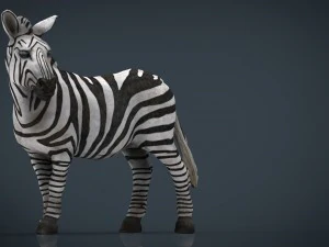 zebra 3D Model
