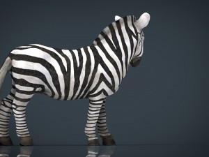 zebra Modelo 3D