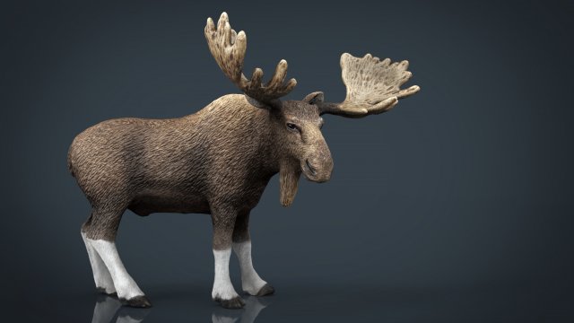 elk Modelo 3D .c4d .max .obj .3ds .fbx .stl .blend 