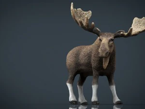 elk 3D Model