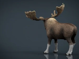 elk 3D Model