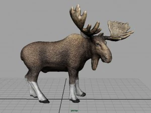 elk 3D Model