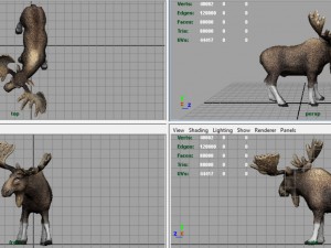 elk Modelo 3D