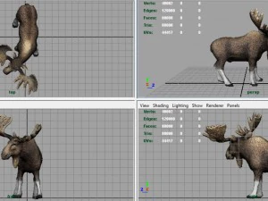 elk 3D Model
