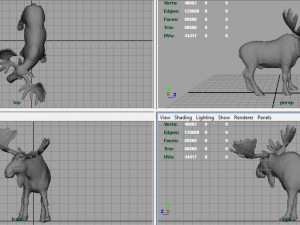 elk Modelo 3D