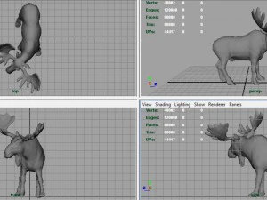 elk 3D Model