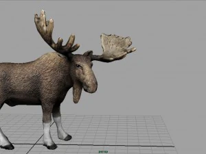 elk 3D Model