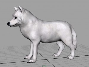 artic wolf Modelo 3D