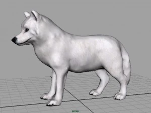 artic wolf 3D Model