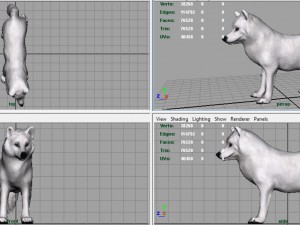 artic wolf Modelo 3D