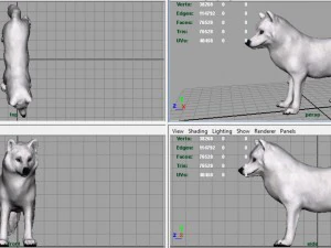 artic wolf 3D Model