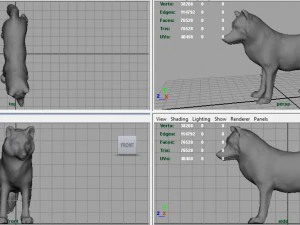 artic wolf 3D Model