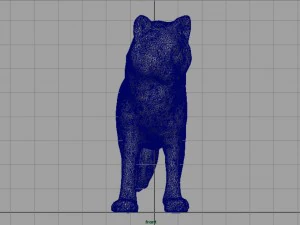 artic wolf 3D Model