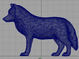 artic wolf 3D Model