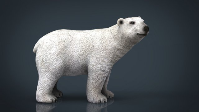 polar bear 3Dモデル .c4d .max .obj .3ds .fbx .stl .blend 