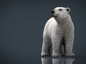 polar bear 3Dモデル