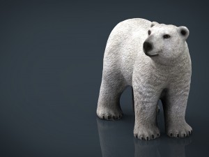polar bear 3Dモデル