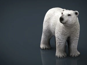 polar bear 3D Model