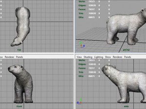 polar bear 3Dモデル