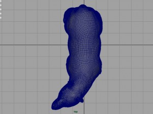 polar bear 3Dモデル