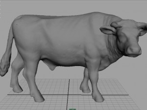 holstein bull 3D Model