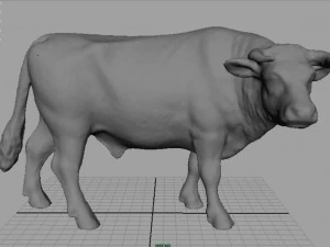 holstein bull 3D Model