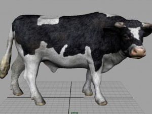 holstein bull 3D Model