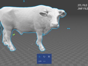 holstein bull 3D Model