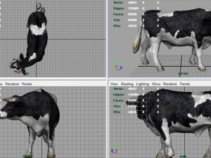 holstein bull 3D Model