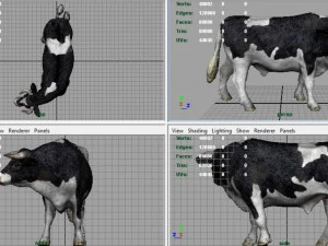 holstein bull 3D Model