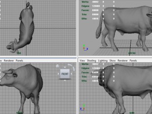 holstein bull 3D Model