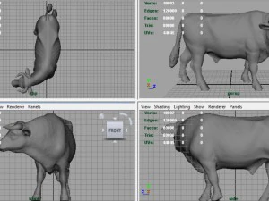 holstein bull 3D Model