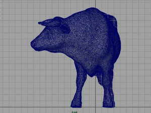 holstein bull 3D Model