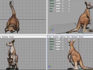 kangaroo Modelo 3D
