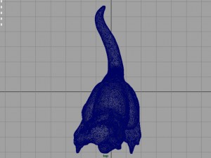 kangaroo Modelo 3D