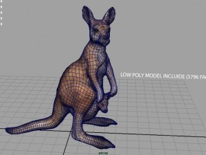 kangaroo Modelo 3D
