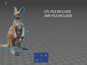 kangaroo Modelo 3D