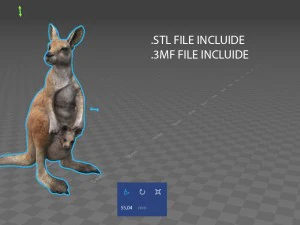 kangaroo 3D Model