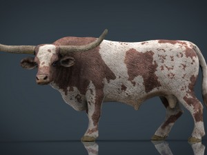 texas longhorn 3D Model