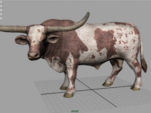 texas longhorn Modelo 3D