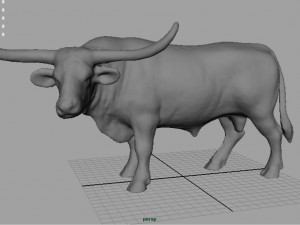 texas longhorn Modelo 3D