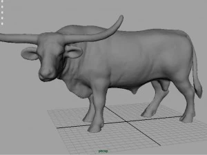 texas longhorn 3D Model
