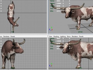 texas longhorn Modelo 3D